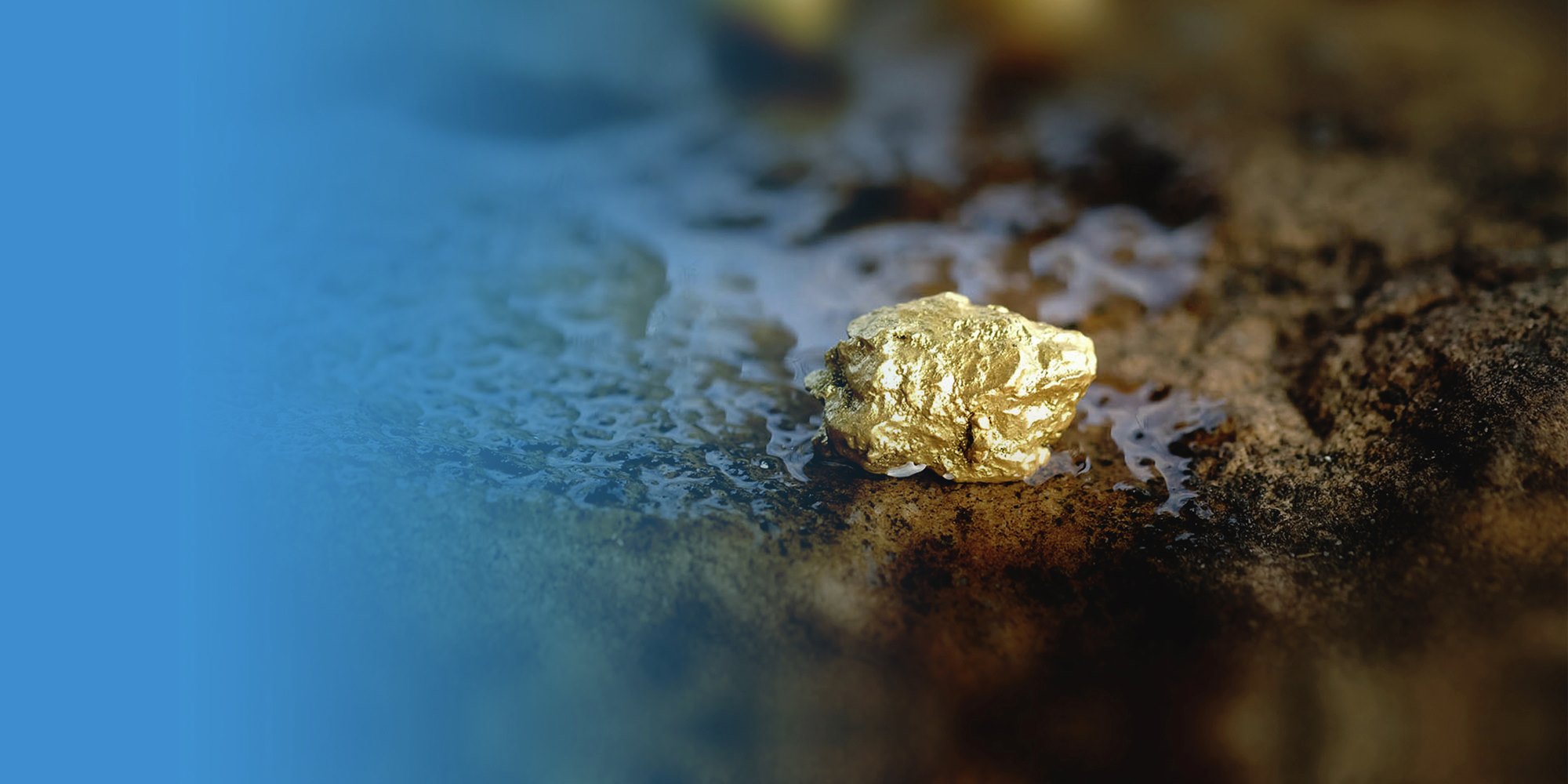 gold-developer-breaking-out