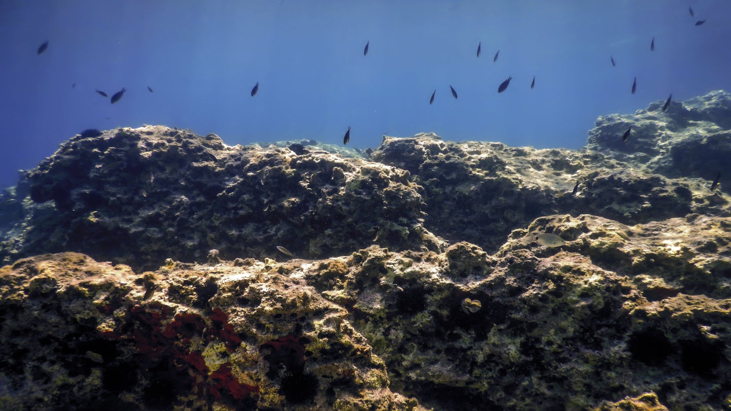 tmc-usa-applies-for-deep-sea-mineral-recovery-under-us-seabed-mining-code