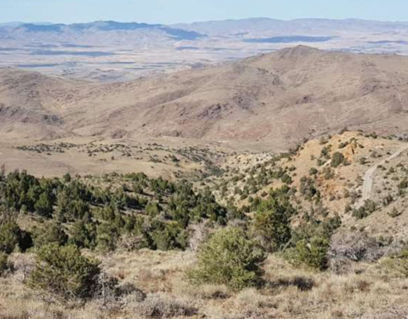 Gold Explorer Uncovers High-Grade Nevada Hits