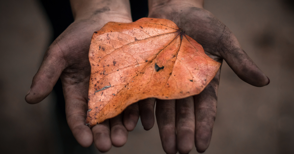 indian-politician-convicted-in-illegal-mine-scam