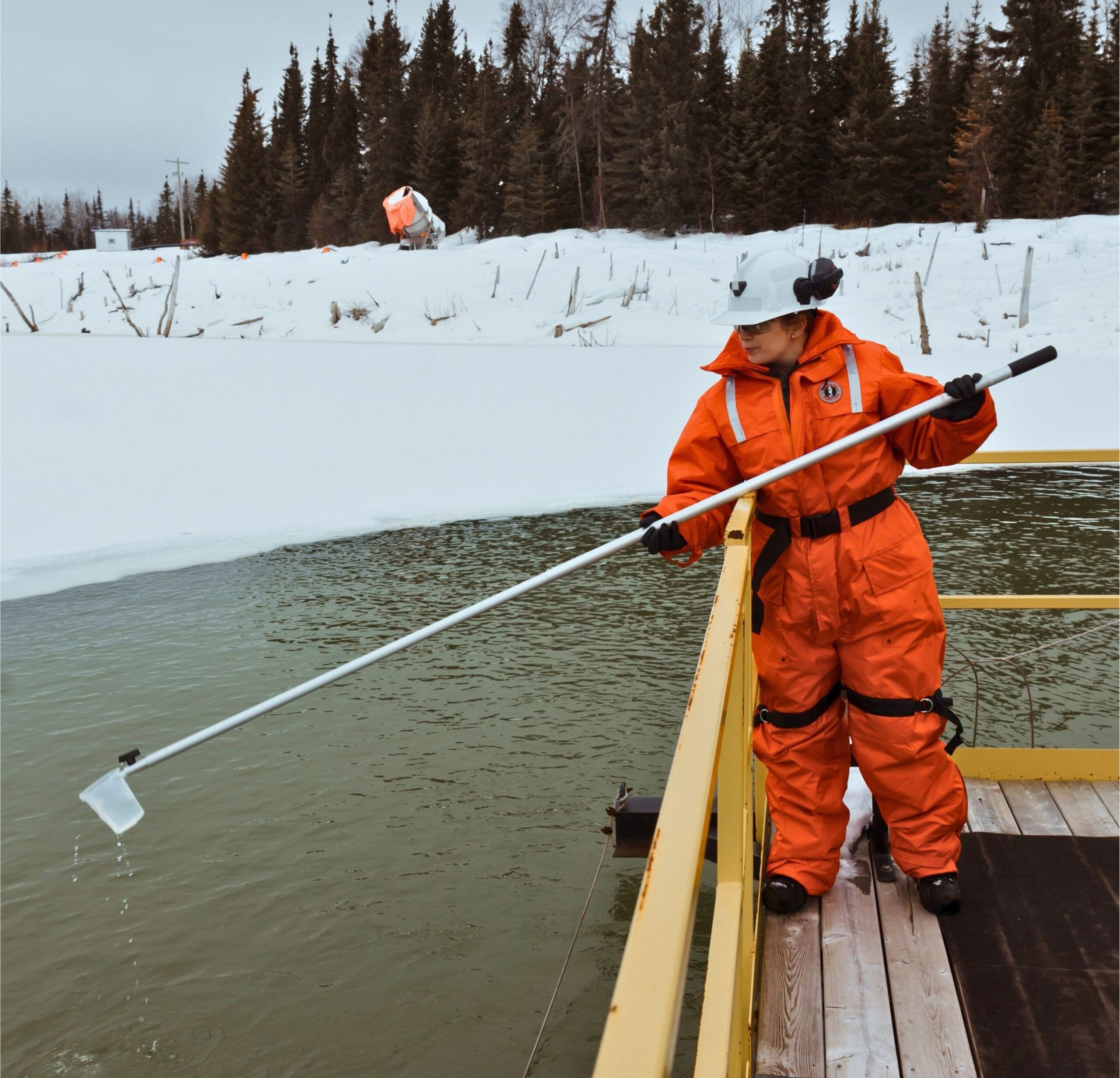 Results of Bulk Sample From Gold Project Favorable