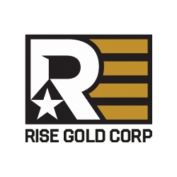 rise-gold-grants-stock-options