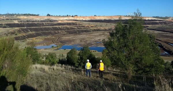 deeper-soil-cover-key-to-post-mining-vegetation-growth