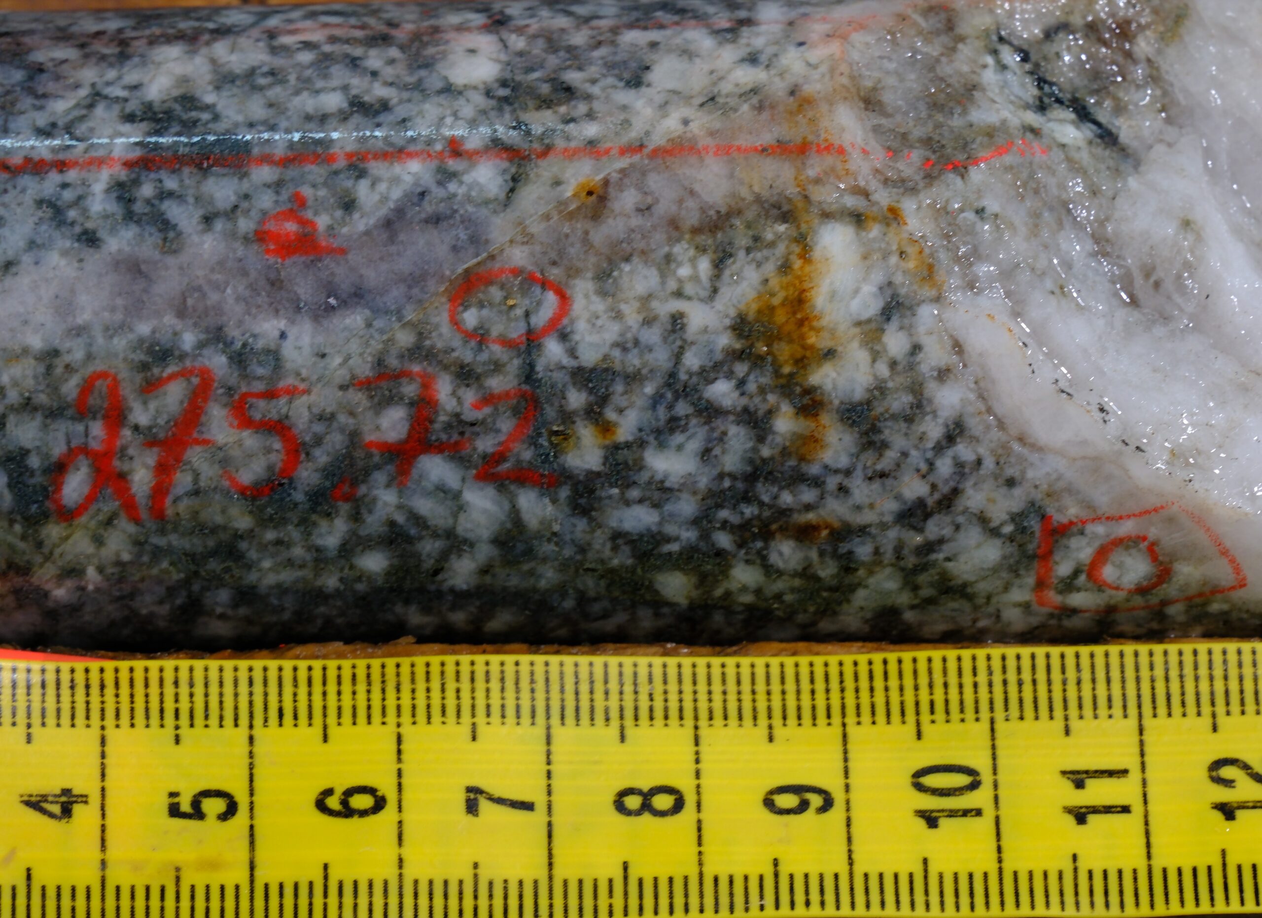 goliath-confirms-multiple-occurrences-of-visible-gold-over-a-26-meter-interval-from newly-identified-rirg-feeder-dyke-on-surebet-high-grade-gold-discovery that-remains-wide-open,-golddigger-property,-golden-triangle,-bc.