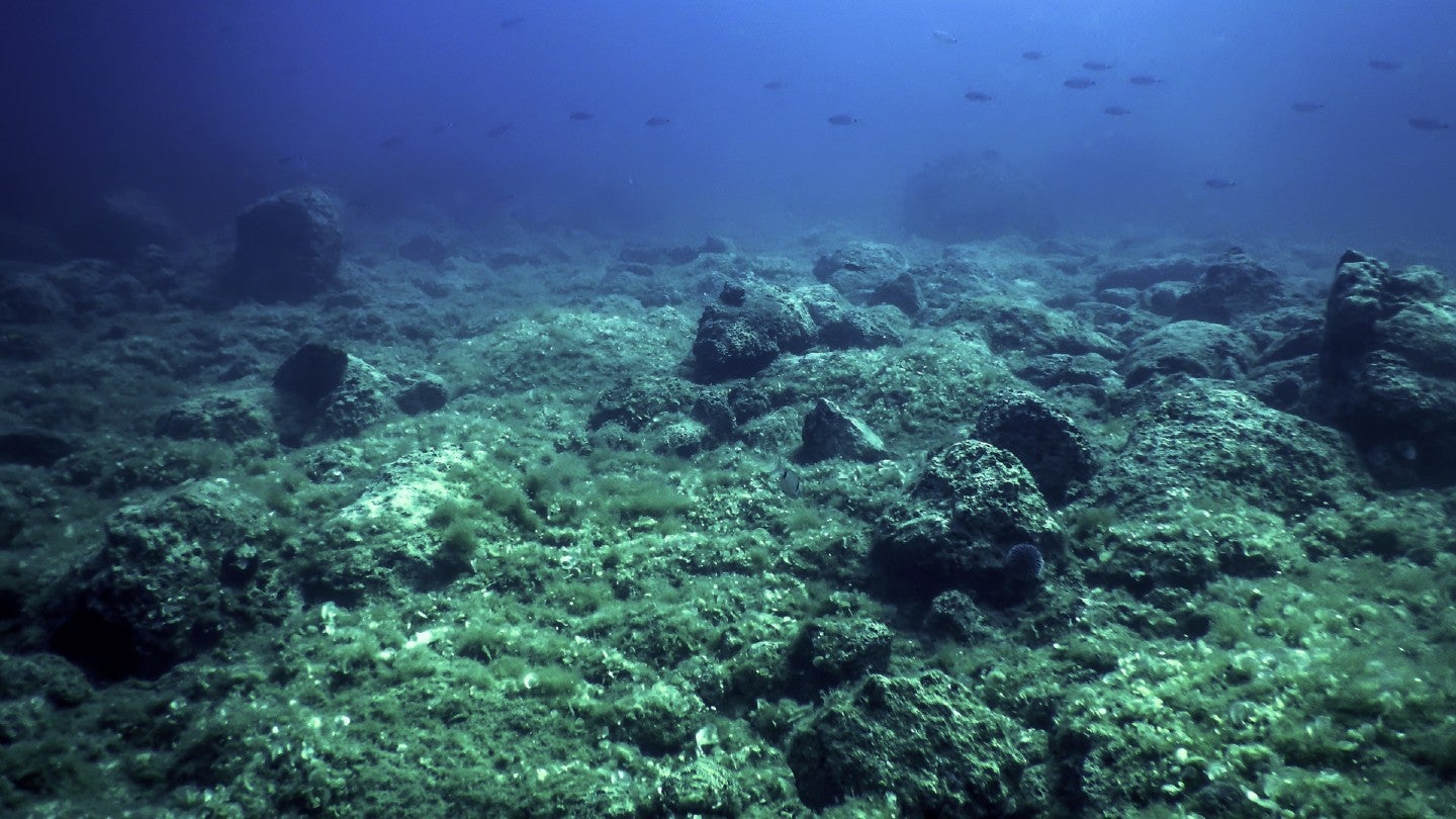 Deep-sea mining remains a hostile battleground