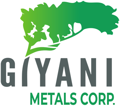 giyani-announces-board-update