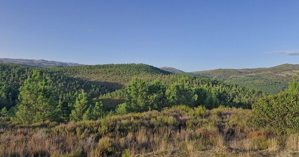 uk-must-lead-on-lithium-classification