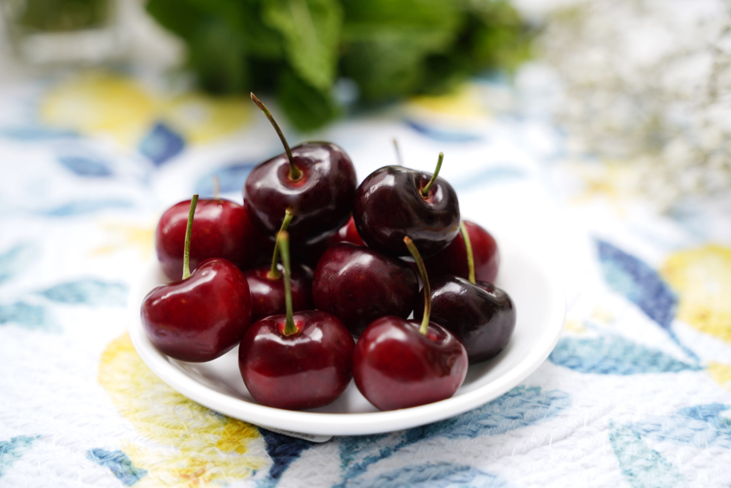 northwest-cherry-season-arrives,-bringing-sweetness-and-endless-culinary-possibilities