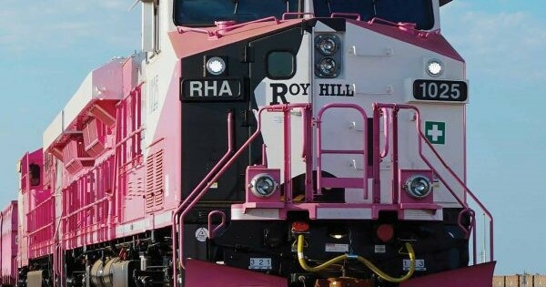 rinehart-slams-trillion-dollar-net-zero-race