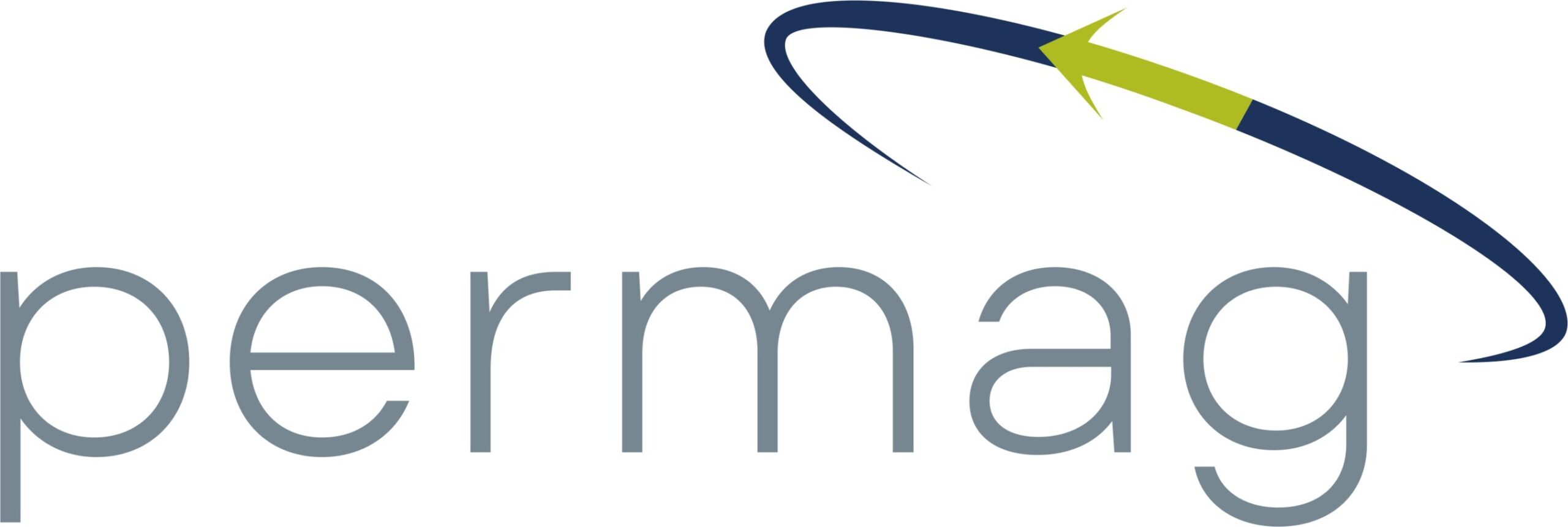 three-industry-leaders-in-rare-earth-magnets-join-forces-under-new-name-–-permag
