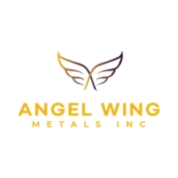 angel-wing-metals-reports-voting-results-from-annual-general-and-special-meeting