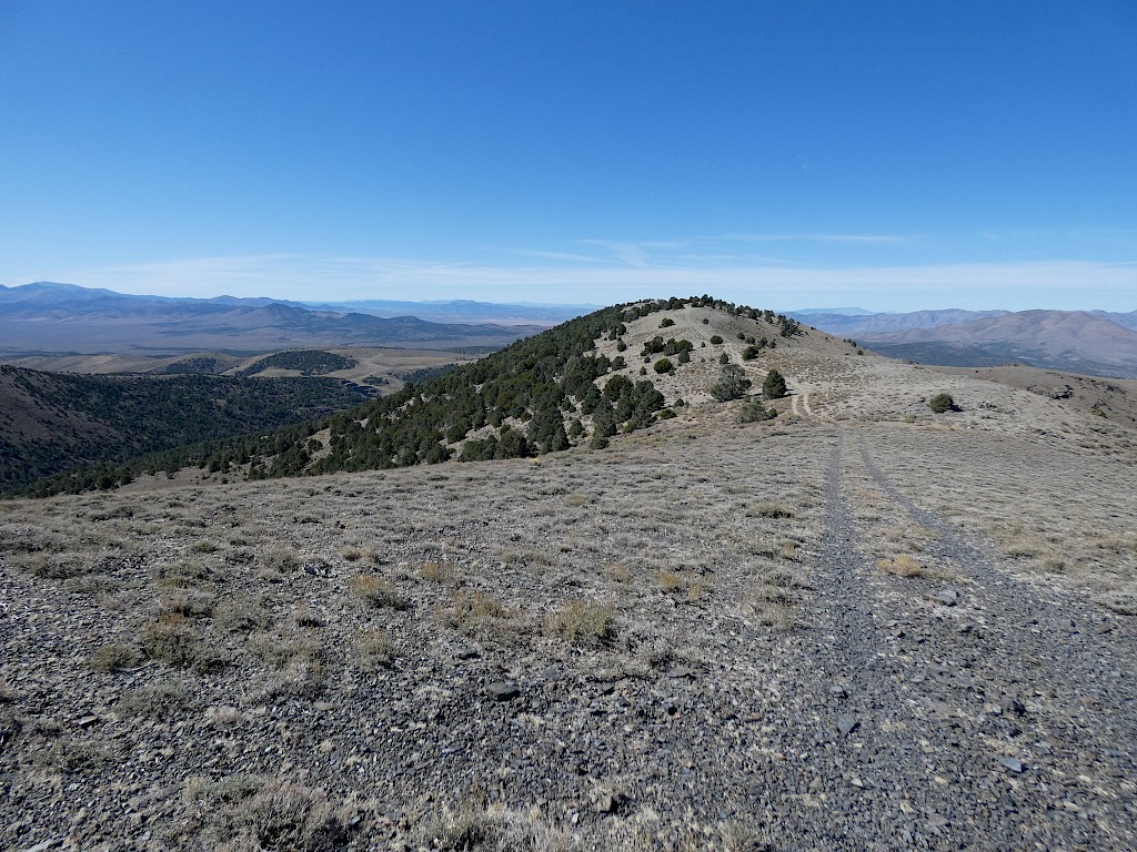 gold-explorer-targets-high-grade-nevada-breakthrough