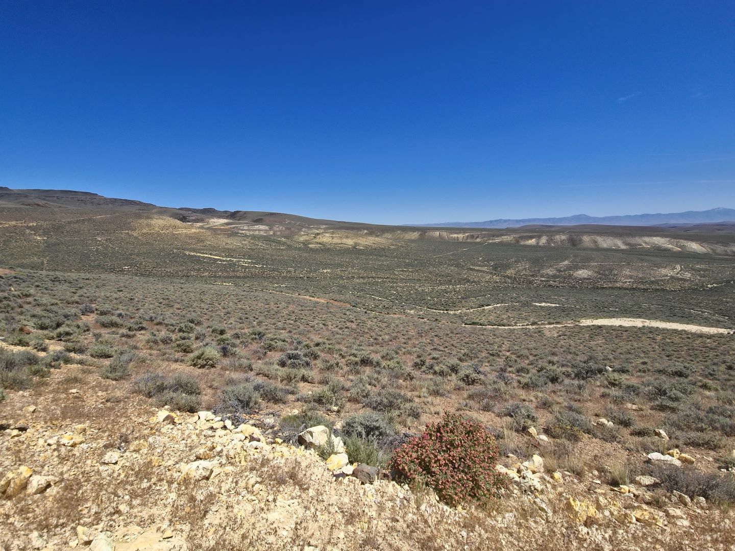 eagle-energy-ceo-on-the-“administrative-tailwinds”-driving-us-uranium-production