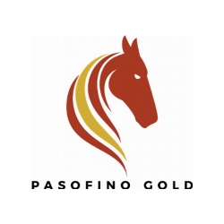 pasofino-gold-engages-independent-trading-group-to-provide-market-making-services