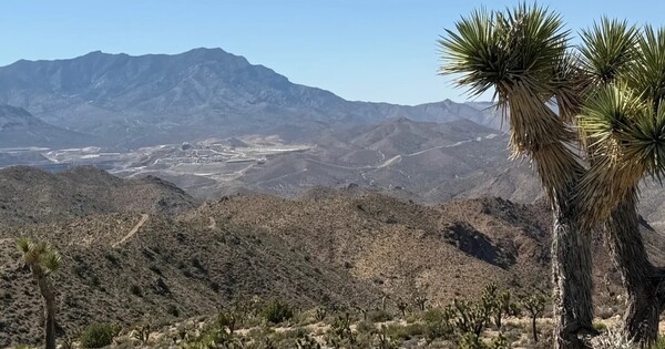 ‘transformative’-antimony-processing-partnership