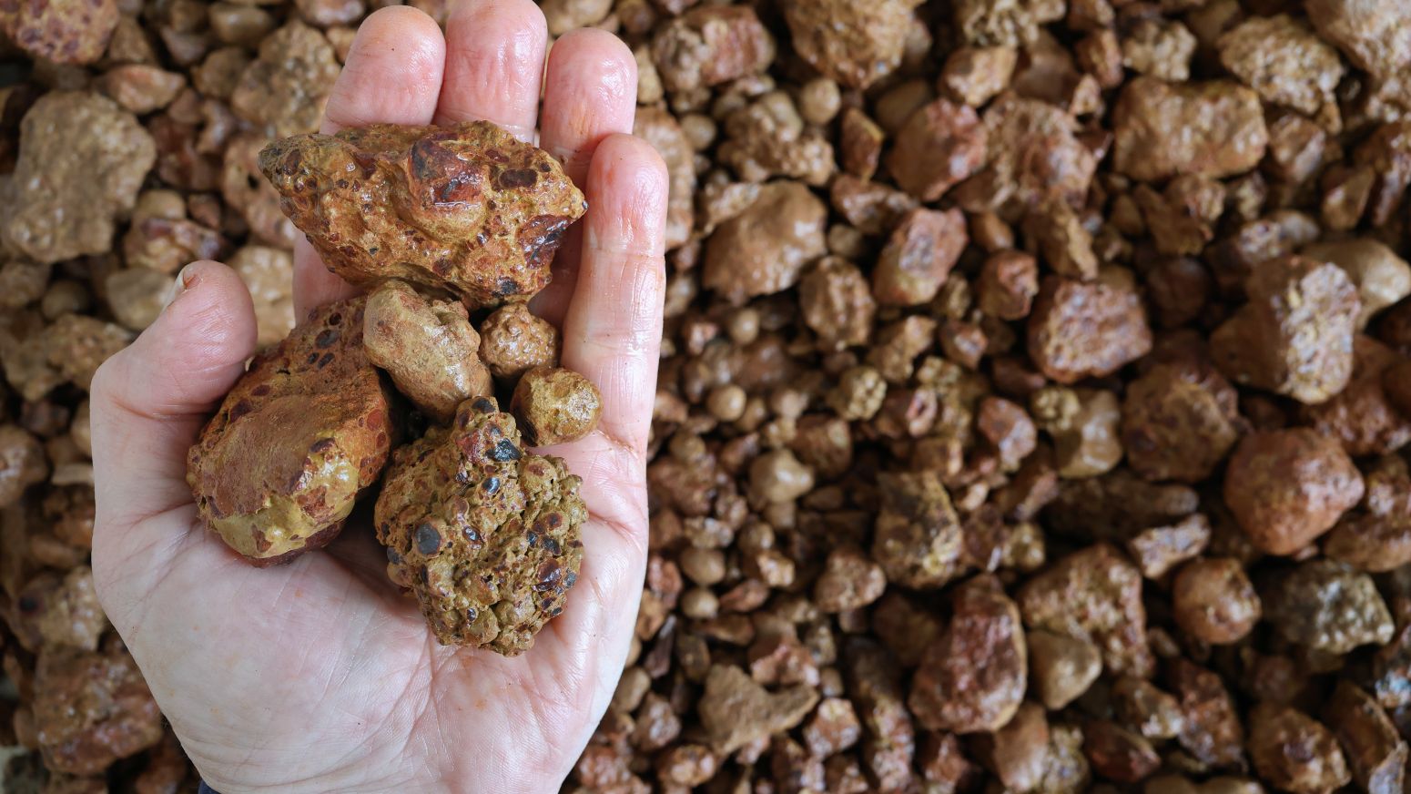 bauxite-exports-surge-23%-in-q3-despite-challenges-in-guinea 