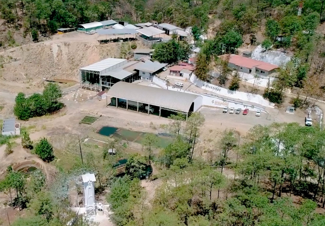 Junior Miner Finds Exceptional Silver Grades in Mexico&#039;s Eastern District