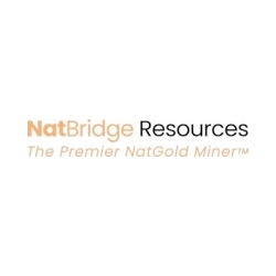 natbridge-provides-shareholder-update