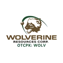 wolverine-announces-receipt-of-partial-revocation-order-and-$250,000-financing