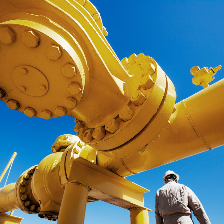 cognizant-sluit-een-vijfjarige-it-service-overeenkomst-met-eriks