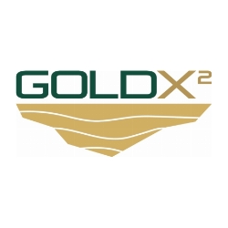 gold-x2-announces-appointment-of-chief-financial-officer