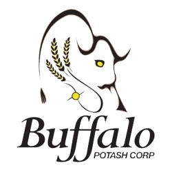 buffalo-potash-corporation-announces-completion-of-reverse-takeover