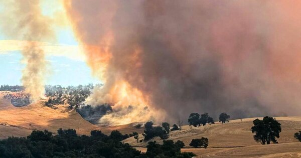 newmont-emerges-unscathed-from-boddington-bushfire