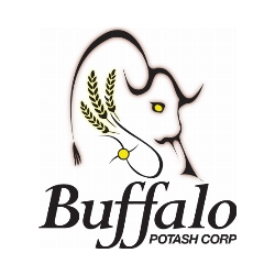 buffalo-potash-announces-grant-of-compensation-securities