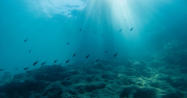 tmc-first-to-file-under-new-us-seabed-rules