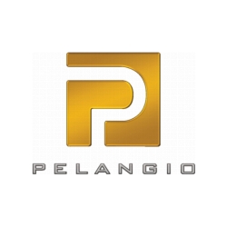 pelangio-refiles-technical-report-for-manfo-gold-project