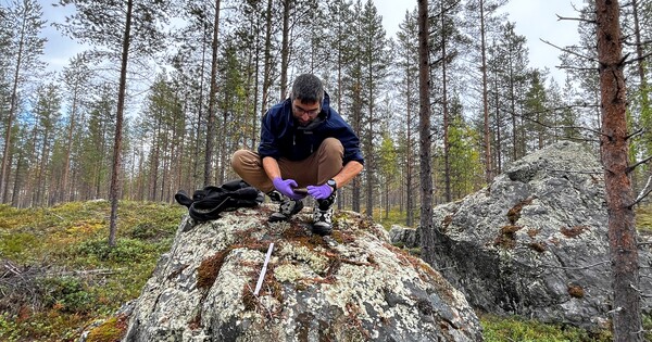 what-teck-learned-from-swedish-moss-about-mine-closure