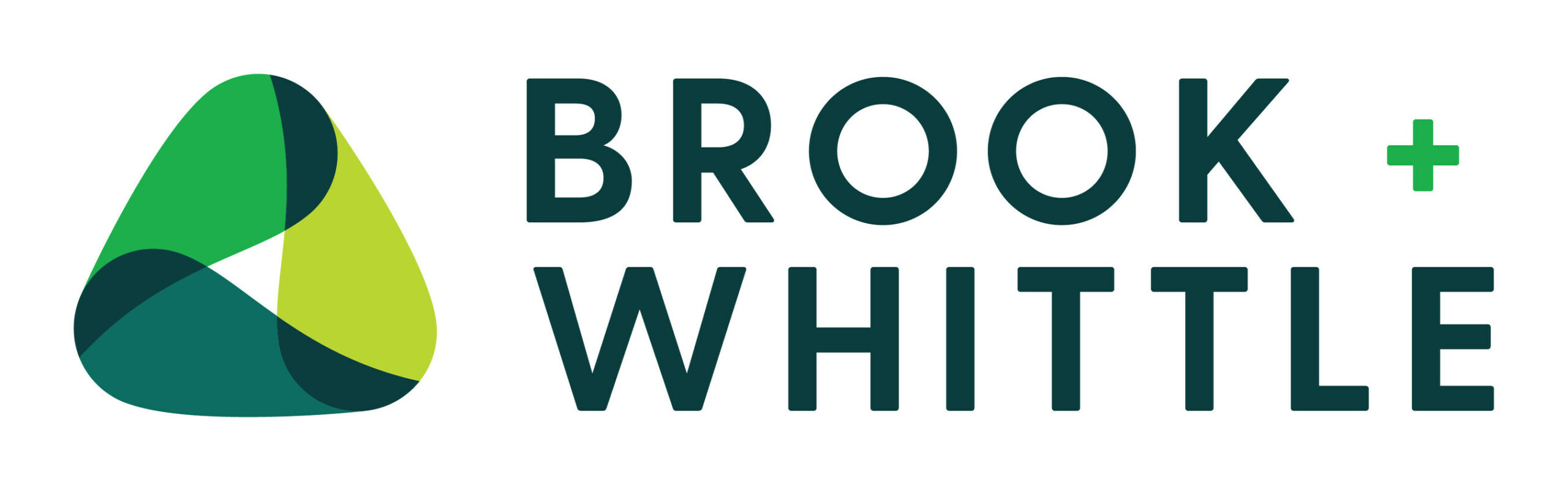 brook-+-whittle-announces-ceo-transition