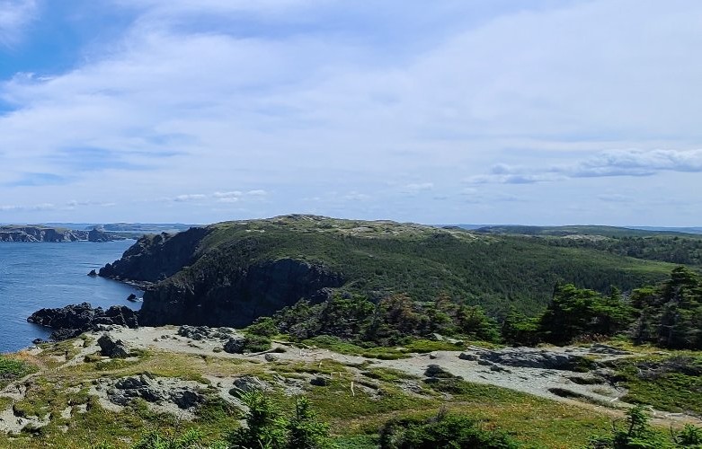 a-district-scale-high-grade-gold-story-taking-shape-in-newfoundland