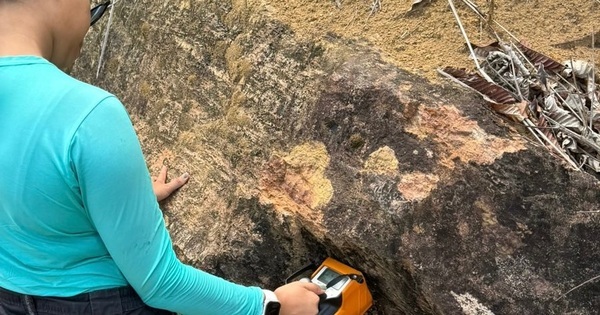 bre-adds-to-brazilian-ree-bonanza