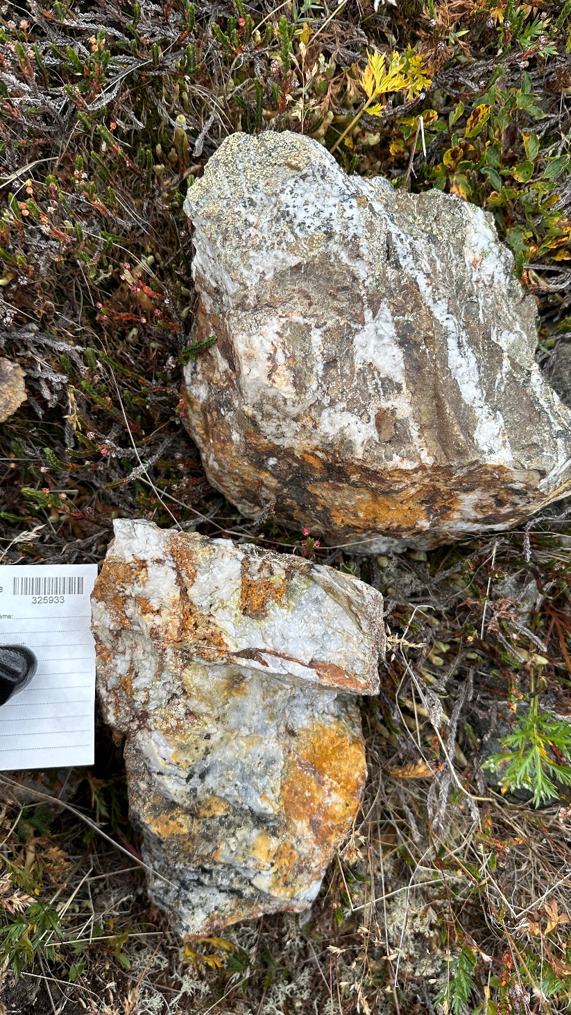 yukon-metals-samples-up-to-250-g/t-gold-in-rock-and-expands-land-position-at-carter-gulch,-yukon