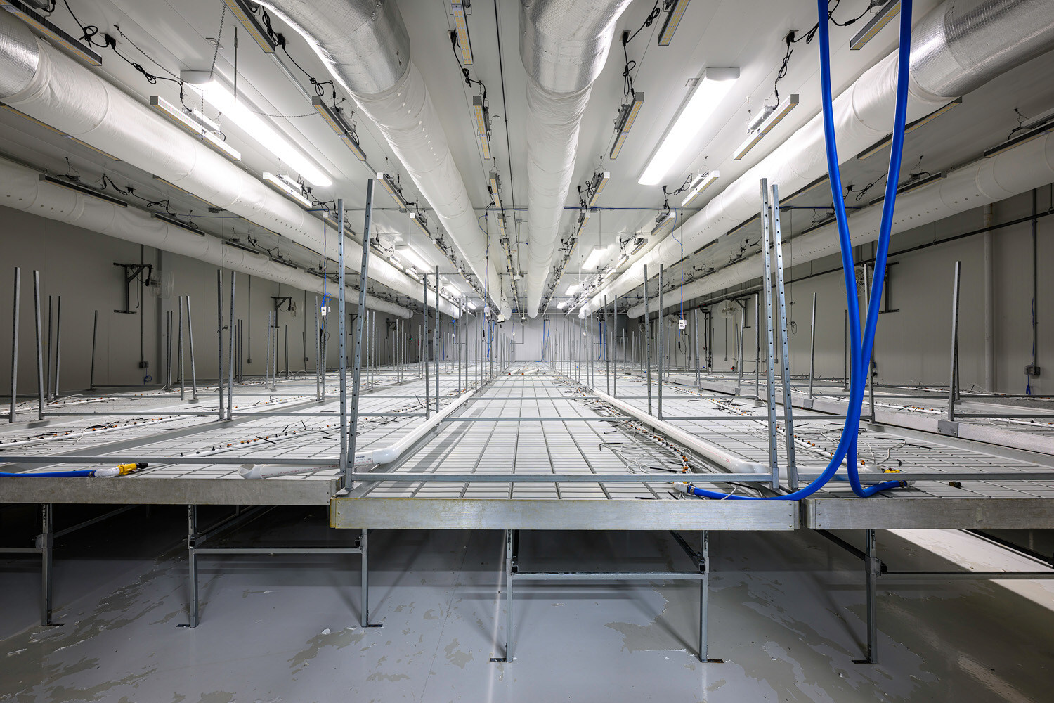 2-day-online-auction-of-135,000-sq-ft.-cannabis-grow-&-processing-facility-in-michigan