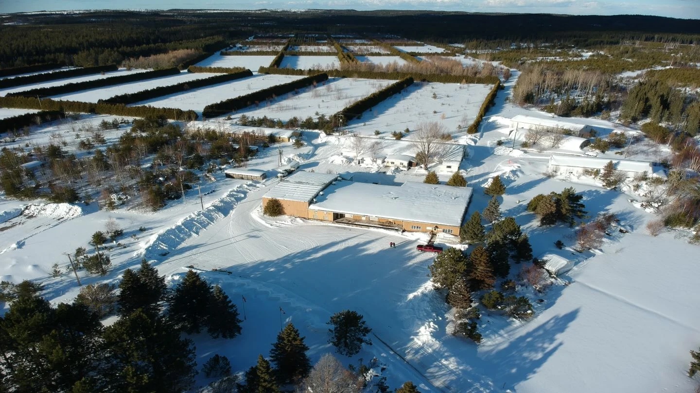 gold-developer-uncovers-64.1-g/t-gold-at-goliath-project's-goldlund-deposit