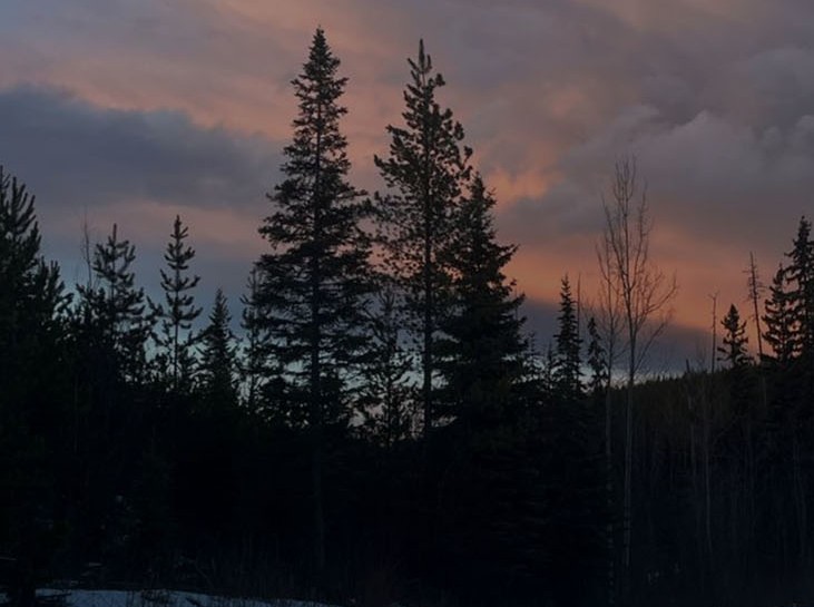 junior-miner-targets-700%-potential-return-in-cariboo-district