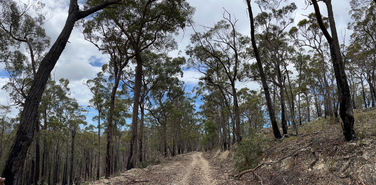 gold-explorer-advancing-historic-australian-project-launches-trading-on-tsx-v