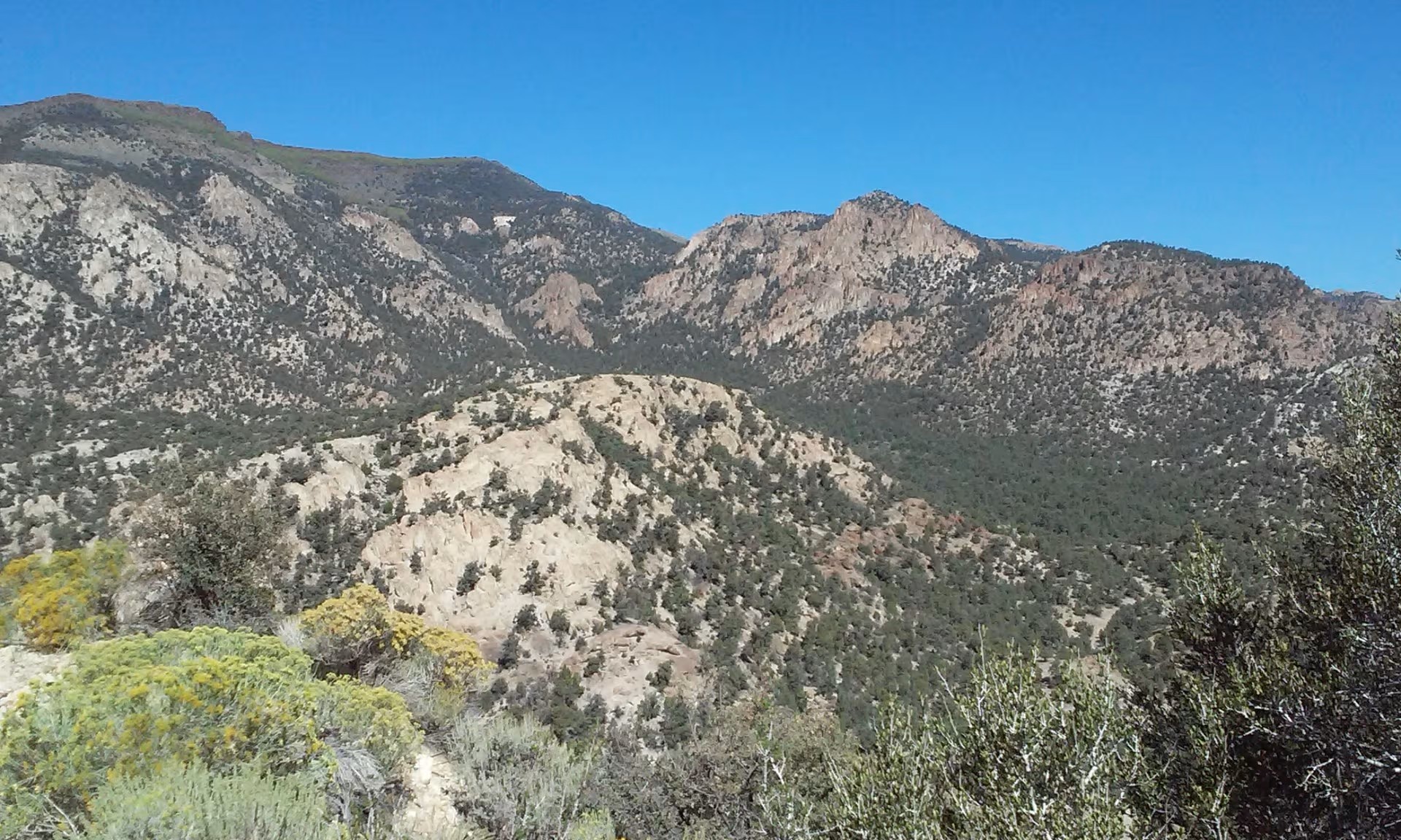 a-nevada-gold-project-in-the-shadow-of-one-of-america's-largest-mines