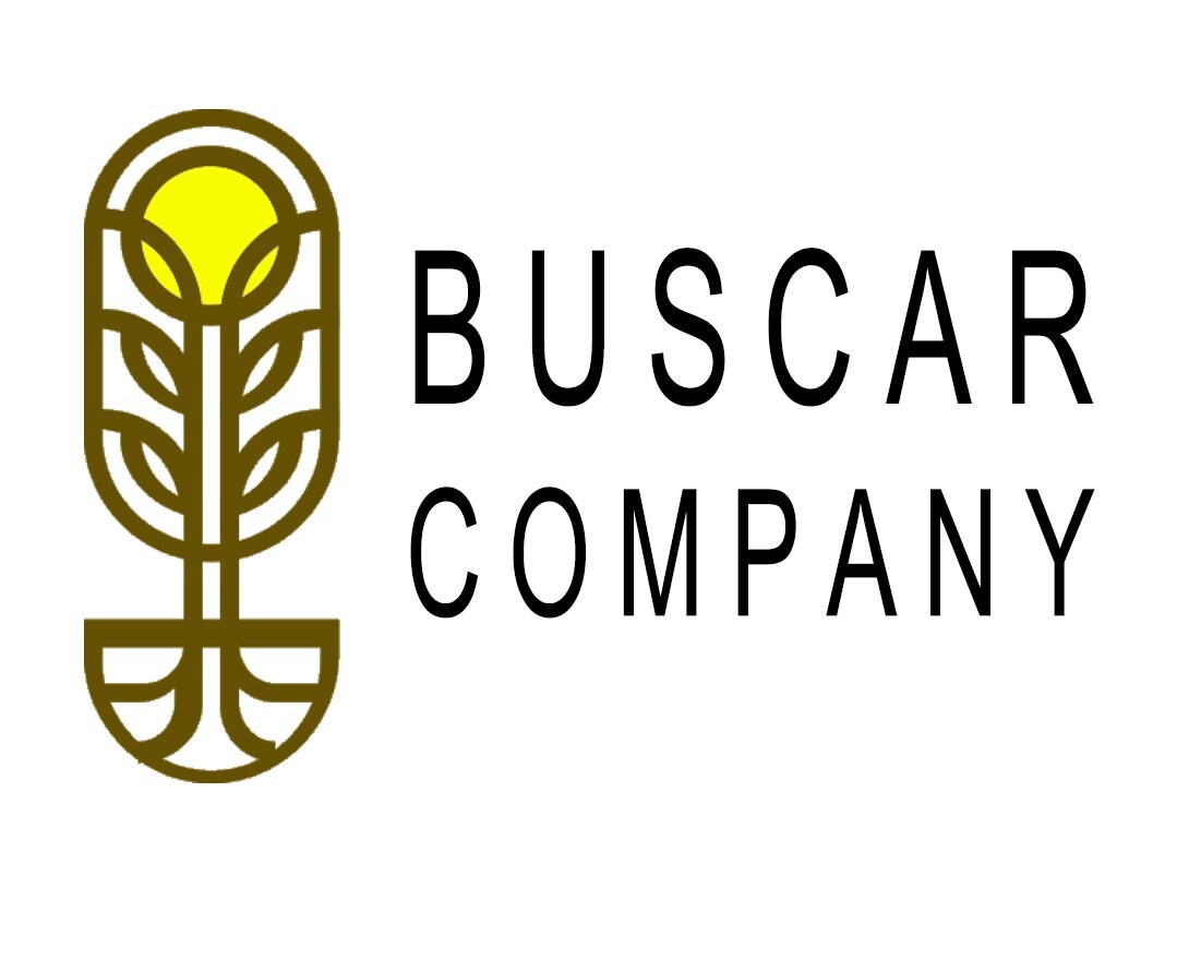 Buscar Company Advances Key Permitting Milestones for Treasure Canyon Mine